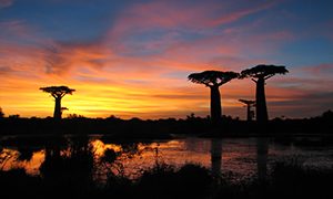 Sunset Madagascar