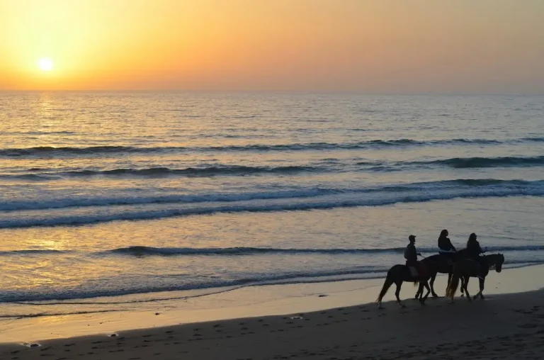 Guide complet pour surfer à Tamraght