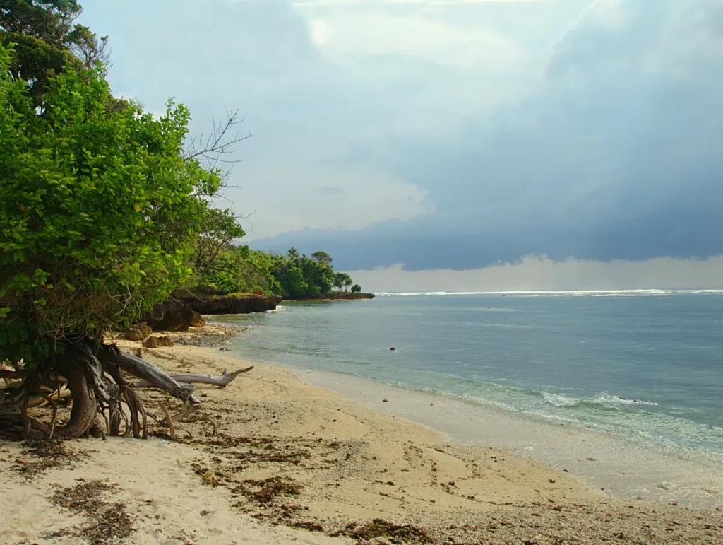 Baie de Plengkung (G-Land), parc national d’Alas Purwo