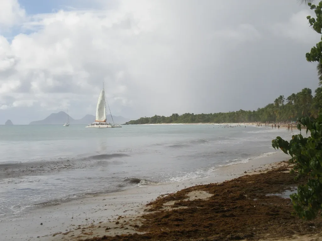 Grande Anse des Salines à Sainte-Anne, en Martinique