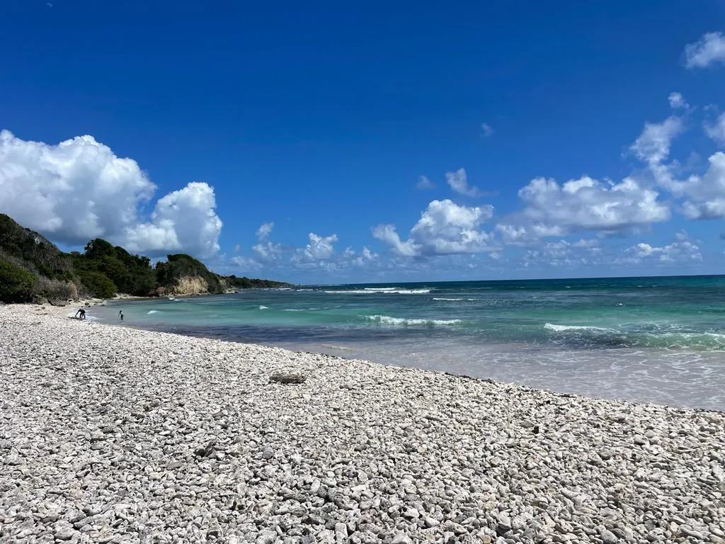 Plage de Gros Sable à Sainte-Anne, Guadeloupe